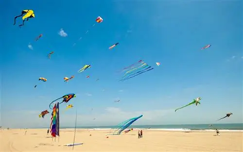 Лучшие места для Дня памяти по версии Yelp