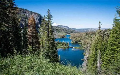 Лучшие места для Дня памяти по версии Yelp