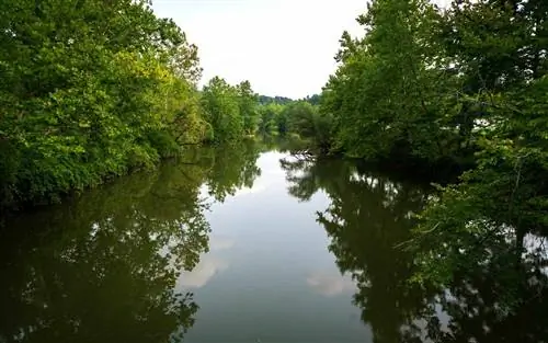 Посетите национальные парки США