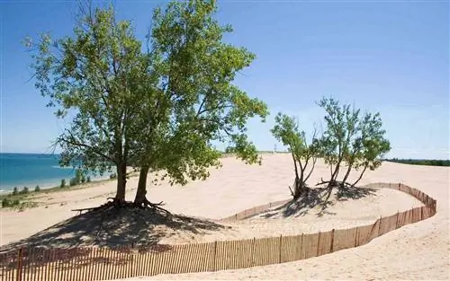 Посетите национальные парки США