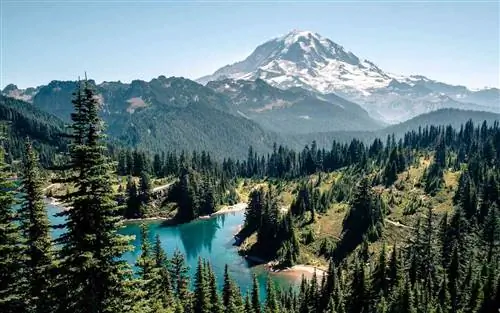 Посетите национальные парки США