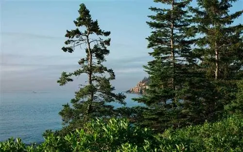 Посетите национальные парки США