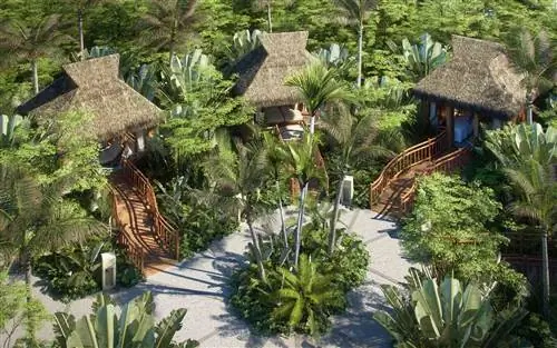 Джунгала в Виданта Ривьера Майя