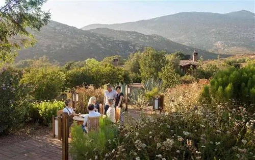 Вечерние напитки в спа-центре Rancho La Puerta