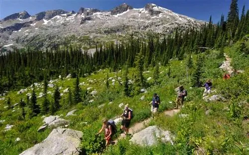 Групповой поход с курортом Mountain Trek в Британской Колумбии