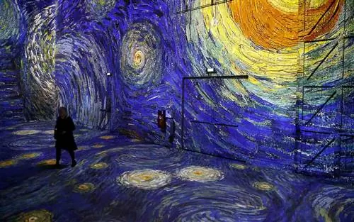 ImageVan Gogh, La Nuit Etoilee - Ван Гог, Звездная ночь: цифровая выставка в Atelier Des Lumieres в Париже