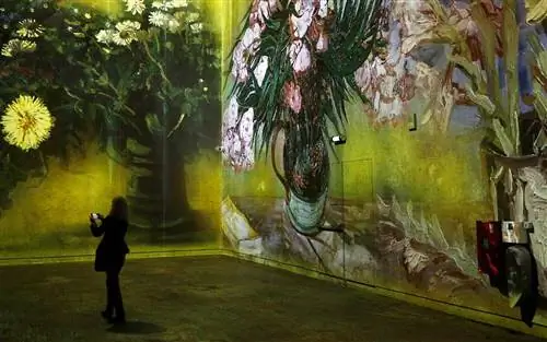 ImageVan Gogh, La Nuit Etoilee - Ван Гог, Звездная ночь: цифровая выставка в Atelier Des Lumieres в Париже