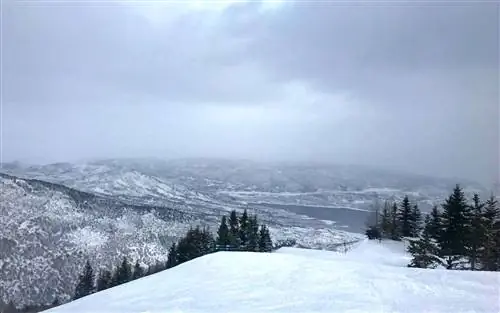 Парк-Сити, Юта