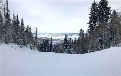 Парк-Сити, Юта