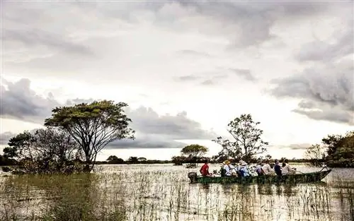 Отправьтесь на серфинг с дельфинами и съешьте жареных пираний в этом круизе по бразильским тропическим лесам