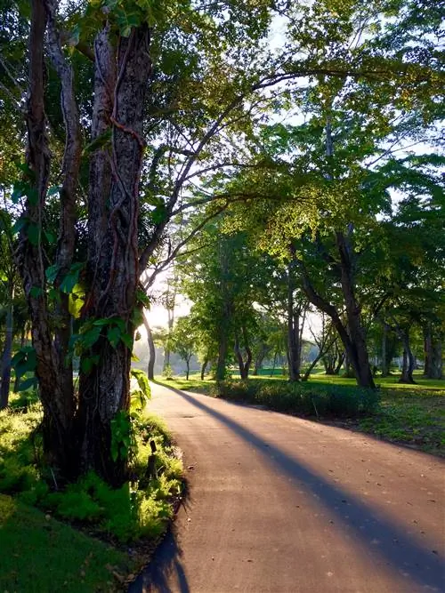 Пляж Дорадо в RitzCarlton Reserve