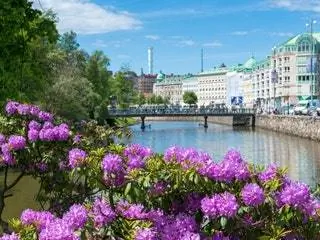 На изображении может находиться цветок растение цветок герани на открытом воздухе человек вода строительство и архитектура