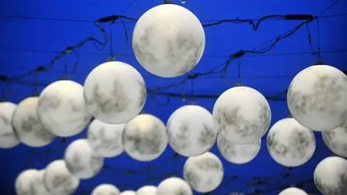 От жареного гуся до рисовых лепешек: вокруг света за 8 дней благодарения