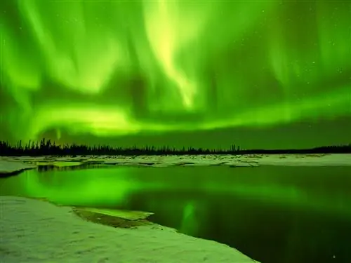 На изображении может находиться природа на улице Night Green и Aurora