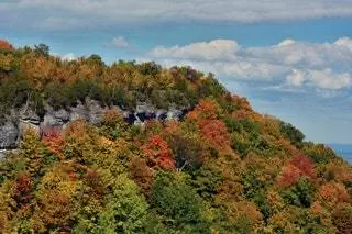 На изображении может находиться растение дерево природа на улице пихта Abies Vegetation Scenery Land Forest Woodland and Weather