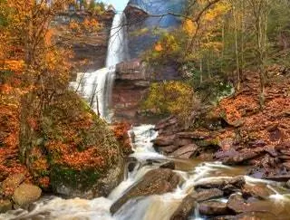 На изображении может находиться Вода Природа Река На улице Водопад Арт Живопись Ручей Животное и птица