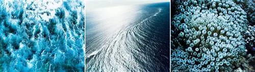 Журнал Cond Nast Traveler, декабрь 2019 г. Сарафанное радио Большой риф