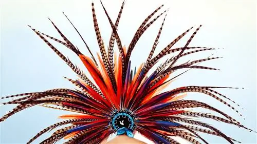 В сердце земель навахо