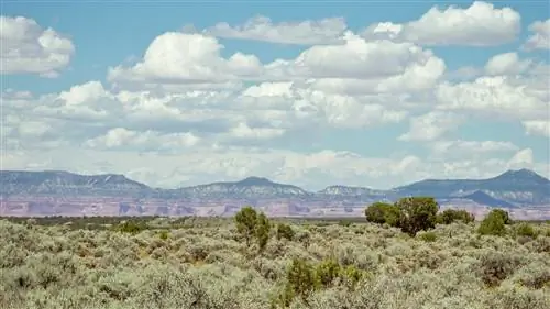 Журнал Cond Nast Traveller, ноябрь 2018 г., том VOL. VII Мудрость Навахо