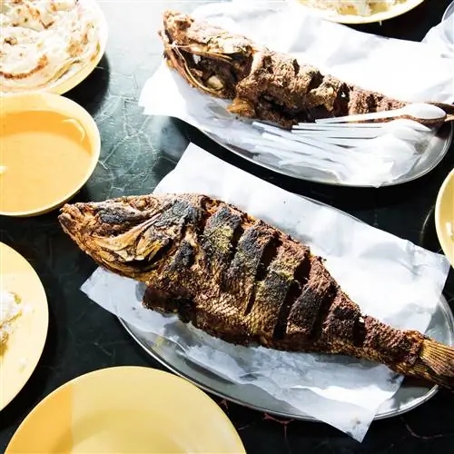 Журнал Cond Nast Traveller, ноябрь 2018 г., том VOL. VII Мудрость Дубай