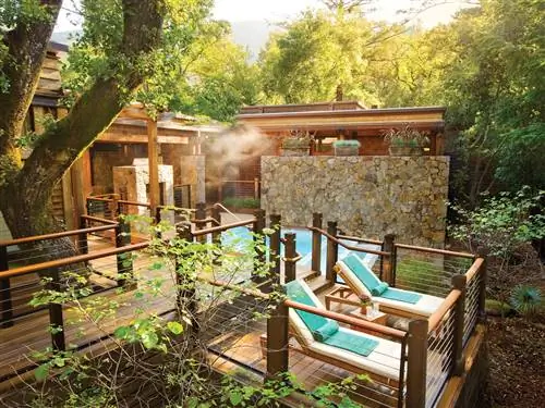 Это изображение может содержать дерево