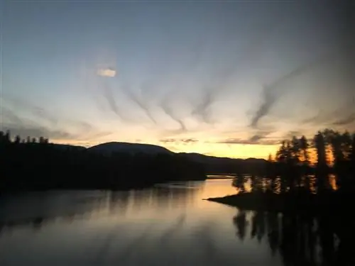 Ночной поезд Amtrak Али Вундерман