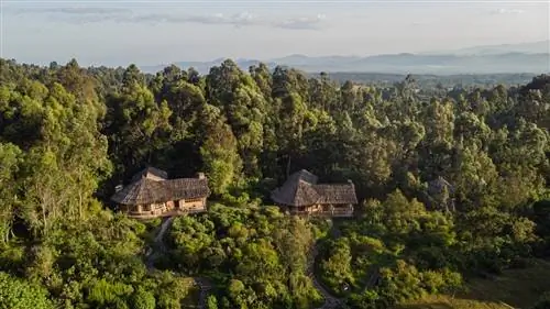 Как местные туроператоры восстанавливают свои наследственные связи с национальными парками по всему миру