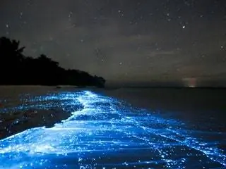 Это изображение может содержать Природа На открытом воздухе Вода Океан Море Ночь Вселенная Космос Астрономия и космическое пространство