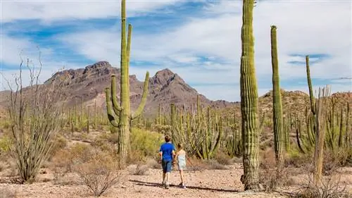 Как обучать детей где угодно, по словам людей, которые это сделали