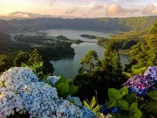 На изображении может находиться на улице Природа Земля Океан Вода Море Береговая линия Пейзажи Побережье Ландшафт и мыс с растениями
