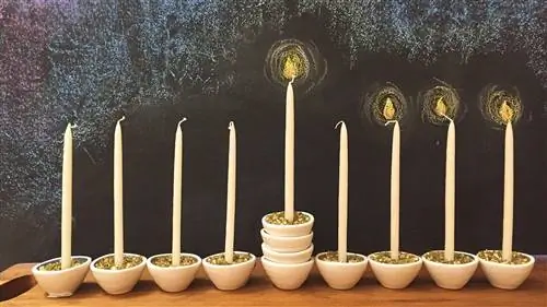 8 красивых сцен Хануки из Instagram