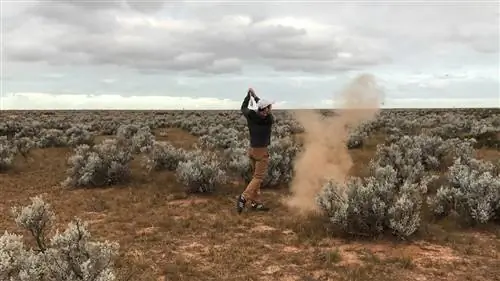Nullarbor Links, самое длинное поле для гольфа в мире, - настоящее австралийское приключение