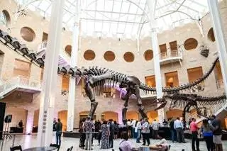 Fernbank Museum of Natural History Museum Атланта Джорджия