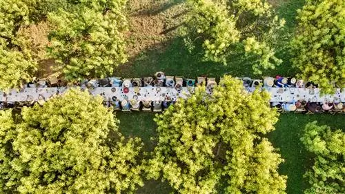 Все, что вам нужно, чтобы спланировать прием пищи для групповой поездки