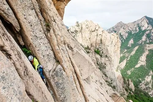 Шельма Джун WWT