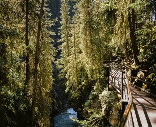 Походы в Канаду