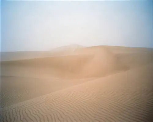 Лодж Кораблекрушения