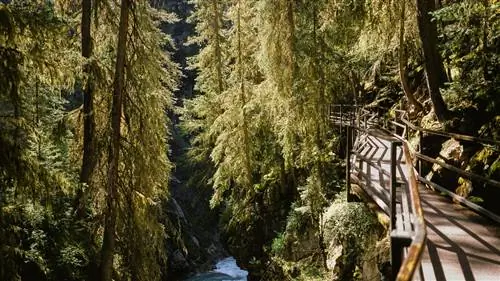 Почему я выбираю поход в одиночку