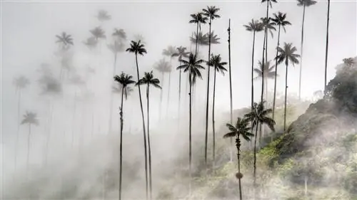 17 причин посетить Колумбию