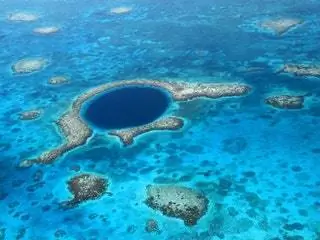 На изображении может находиться на улице Природа Земля Океан Море Вода Береговая линия Пляж Побережье Животные Черепахи Рептилии и морские обитатели