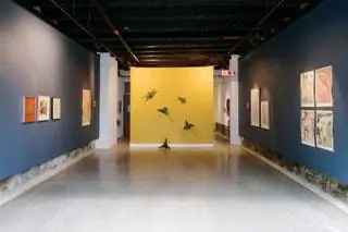 Южная Африка Музей Кейптауна SMITH Кейптаун