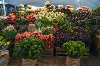 Южная Африка Рынок Кейптауна Городская ферма Ораньезихта