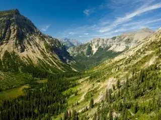 На изображении может находиться дерево растение пихта Abies природа на улице хвойное дерево и горный хребет