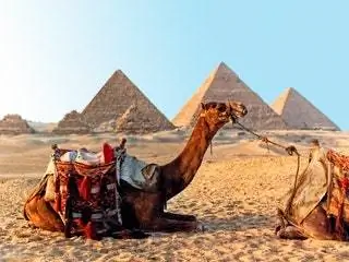 На изображении может находиться архитектура здания животное млекопитающее лошадь пирамида и верблюд