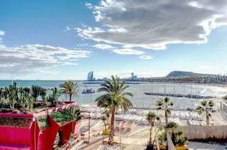 На этом изображении может находиться Summer Arecaceae Tree Palm Tree Plant Building and Hotel