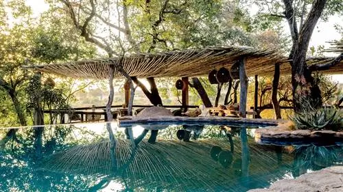 Как самые роскошные сафари-лагеря Африки защищают природу