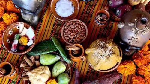 Для гидов гастрономических туров запросы «Ешьте как местный» сложны