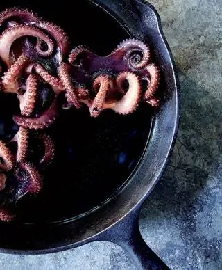 Это изображение может содержать животных, беспозвоночных, осьминогов и морских обитателей.