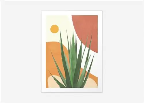 Изображение может содержать растение