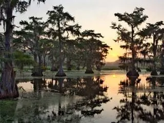 Это изображение может содержать Земля На открытом воздухе Природа Вода Болото Болото и Болото